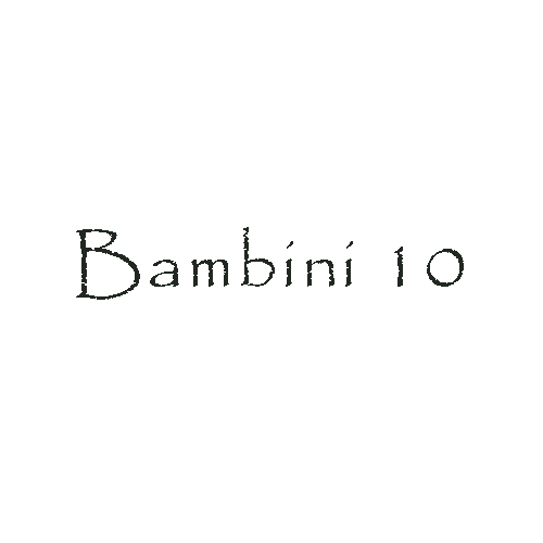 Bambini 10 / Aran 100g