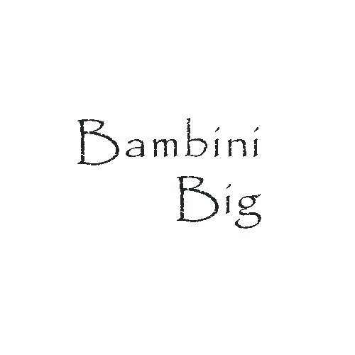 Bambini Big 100g